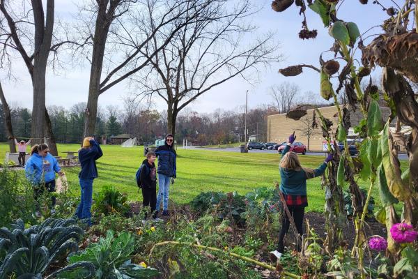 Garden Clean up