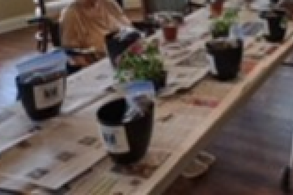 planting