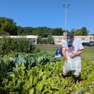 Harvest