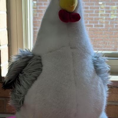 chicken