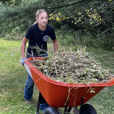 volunteer