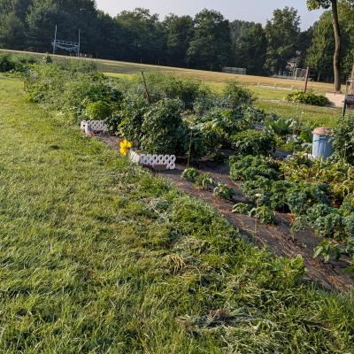 Garden produce
