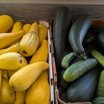 Garden produce