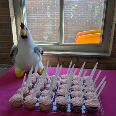 cupcakes