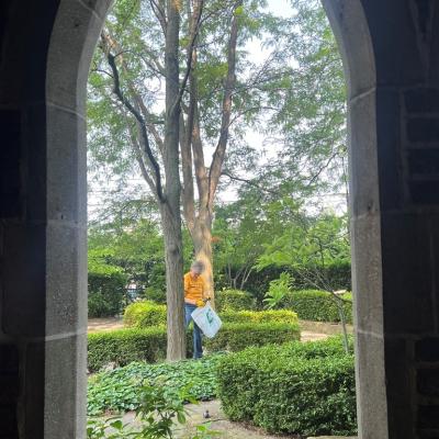 weeding