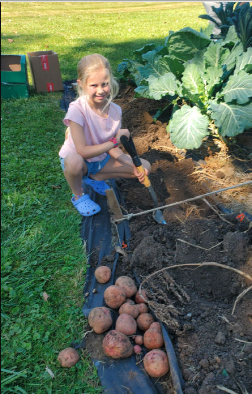 Community Garden Final Harvest