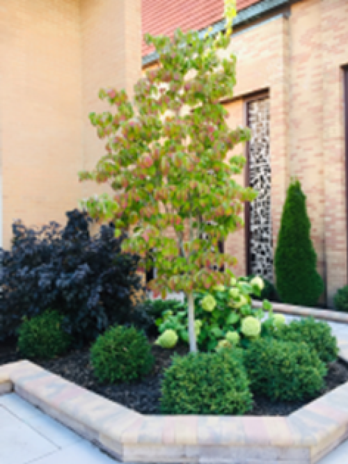Church Landscaping and Memorial Courtyard Changes