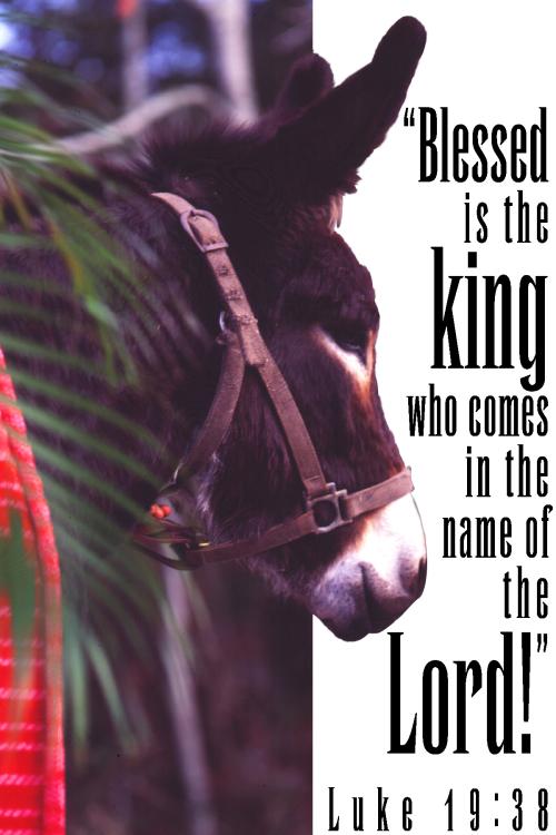 Palm Sunday