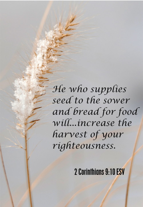 Growing Faith and Growing in Faith Together